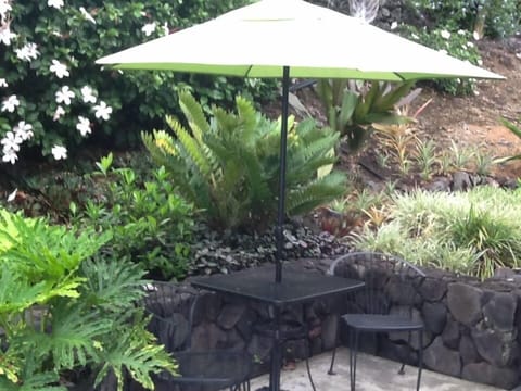 Outdoor seating area.....with pineapples growing to the right!