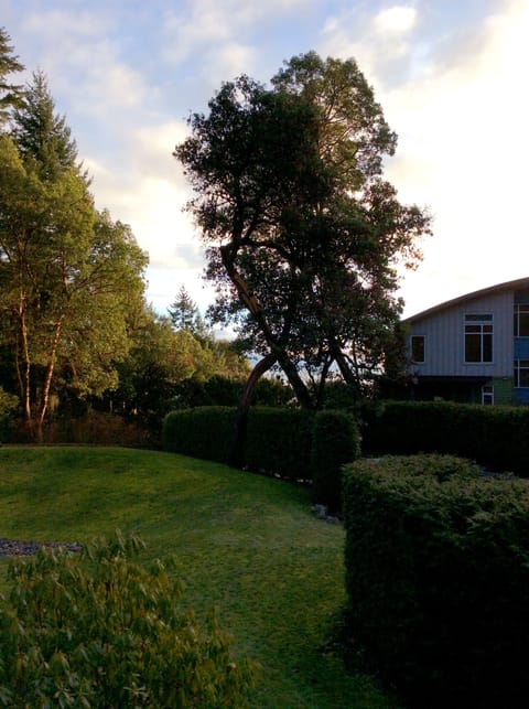 Ocean view off balcony