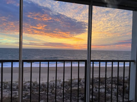 Sunrise!  Everyday brings a new beginning. :-D
