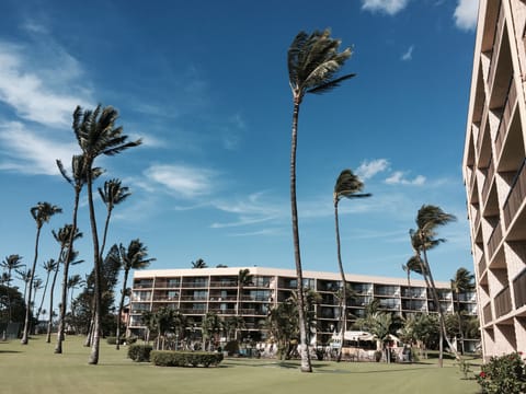 The grounds of the Maui Sunset. 