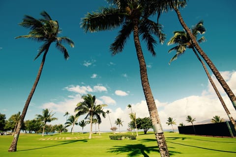 The grounds at the Maui Sunset facing the ocean. 