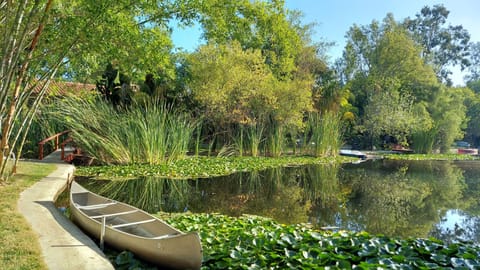 Lake looking toward the house photo taken 11/2021 beautiful!