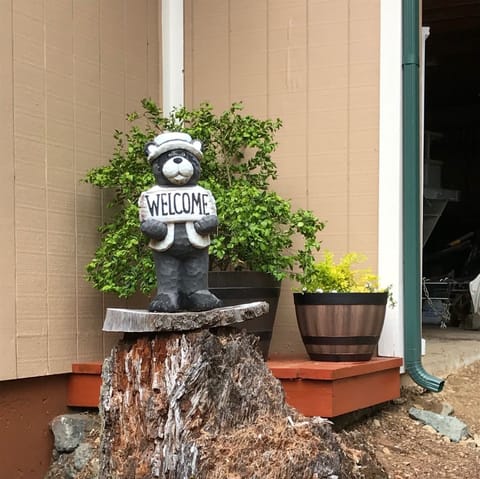 Welcome Bear