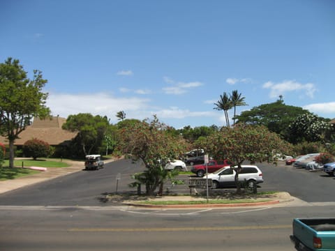 Resort Entrance & Parking