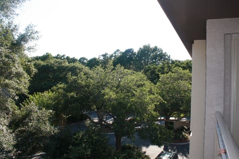 Our view from the balcony. The beach is just past the trees
