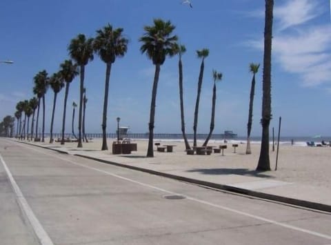 Beach and Strand