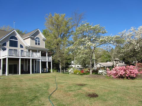 View from yard looking at the house