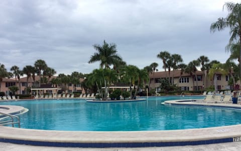 Our Winterpark pool, the largest in Naples!