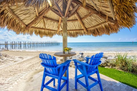 Back yard 🏝️ 