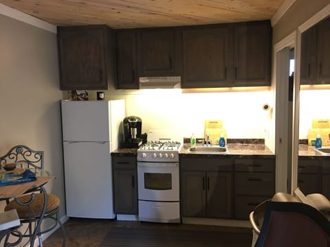 Kitchenette area with gas stove/range