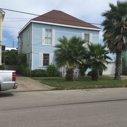This is why we call our house Three Palms!