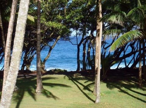 View from Front Porch. Amazing view of the ocean. No other rentals compare.