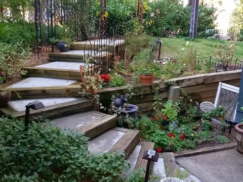 Back yard steps, garden and fountain. May through Nov. Snow covered in Winter.