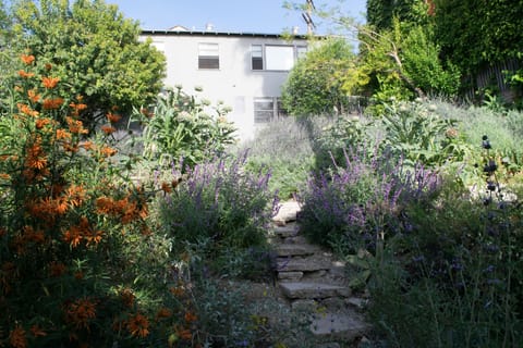 Beautiful terraced backyard with views of Hollywood, Griffith Park and West LA