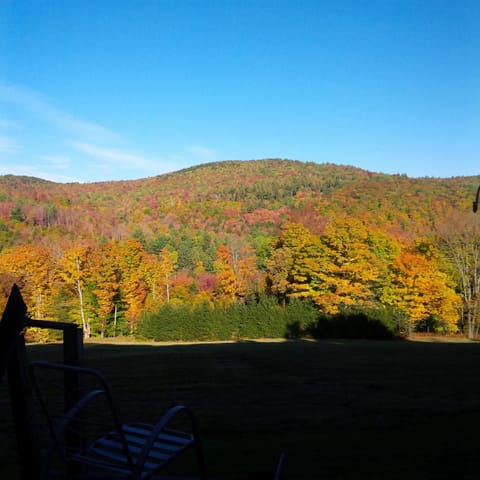 Fall's bright colors and blue sky  