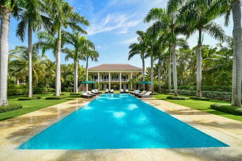 Tropical splendor!