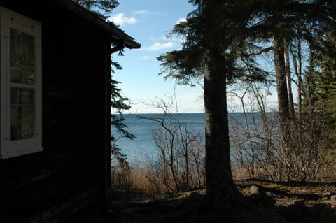 Lovely wooded surroundings...
