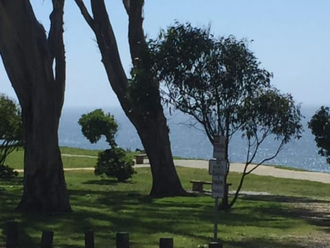 The bluff across from the house