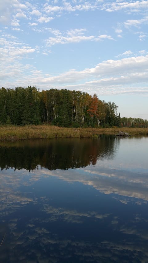 The Beaver Lake