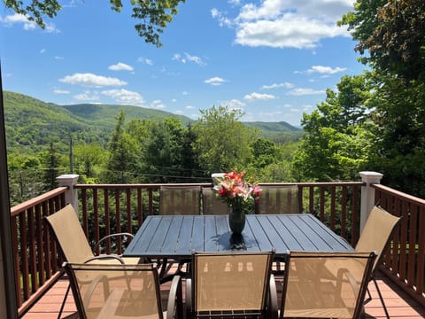 Gem of the Berkshires- mountain view. Near lake Mansfield, walk to downtown