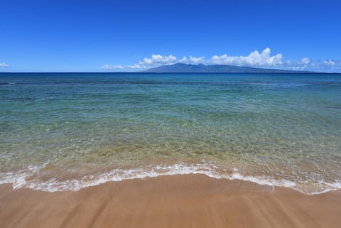 Papakea Beach