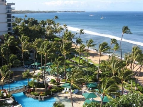 Pool and beach - as close to ocean as is possible on Maui! - Typical OceanView