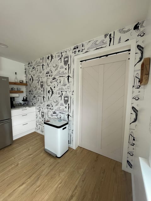 Barn door in kitchen to give privacy to front area with daybed