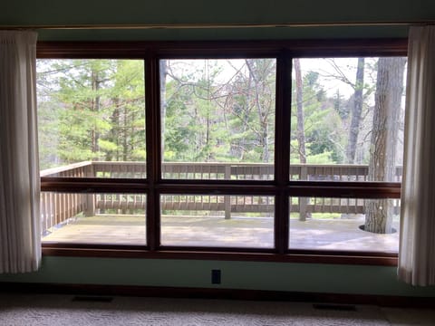 View out front window of living room 