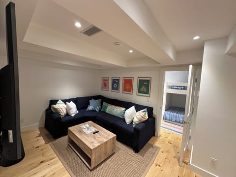 Basement living area with large flat screen TV