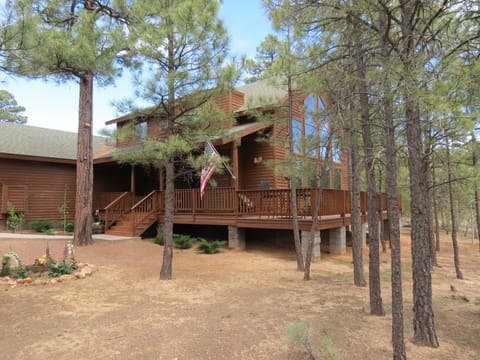 Front of Cabin from forest area