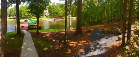 Another view of the backyard