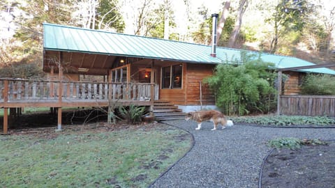 Angel - the Wolf Glen namesake.