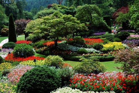 Beautiful Butchart Gardens - a must see in any season - plus delightful dining.