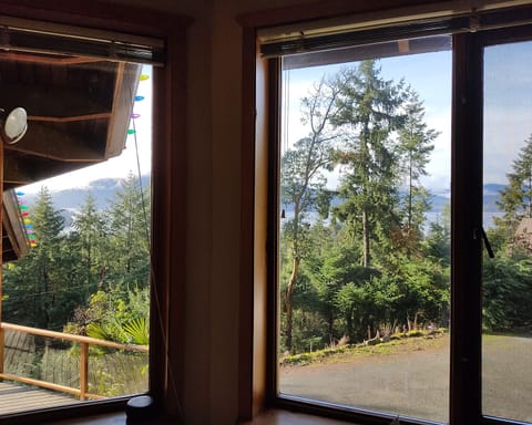 An attempt to capture the view from the 2nd bedroom.