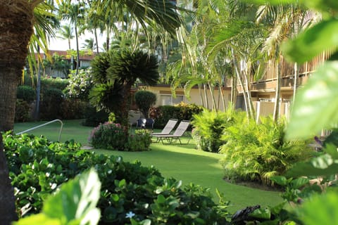 This is where your Maui vacation begins.