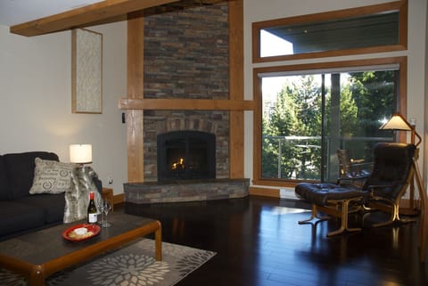Livingroom Fireplace