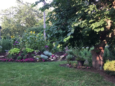 Our side yard which will be yours.  Enjoy the different seasons garden.