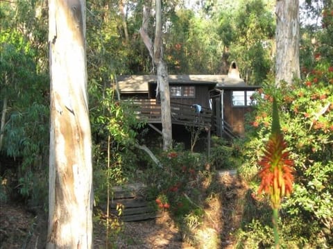 Look at Cottage from our canyon open space