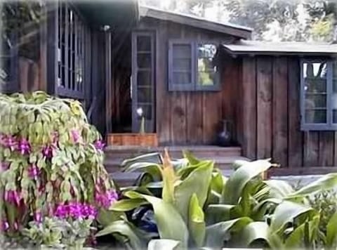 From the front of the cottage