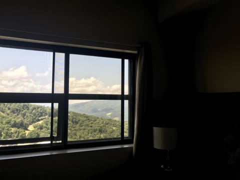 Mountain View from Master Bedroom
