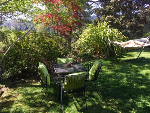 Under the birch trees just a few feet from your door. 
 Medicinal hammock 