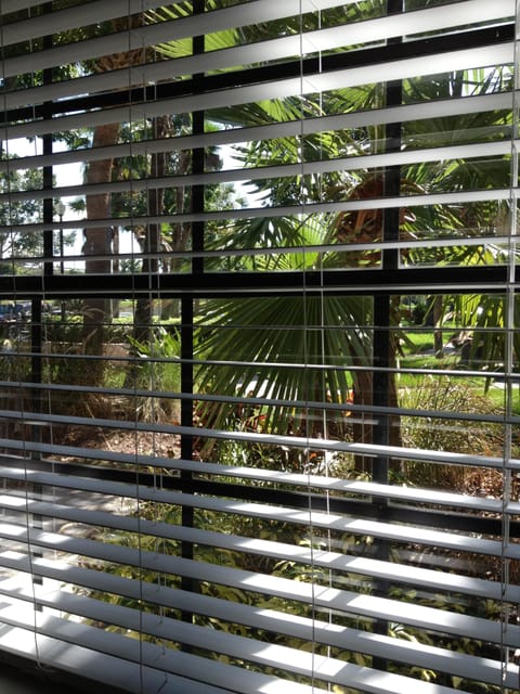 1st Floor Bedroom View