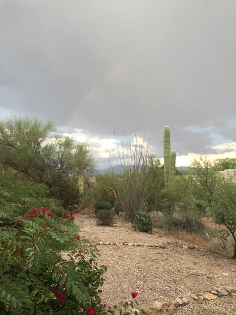 Backyard rainbow
