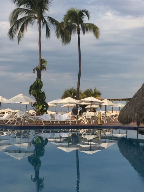 Welcome to Velas!
