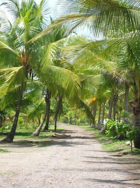 Beach front road
