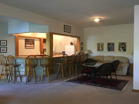 Lower Level Bar/Kitchen and Eating Area w/Sofa Bed on Back Wall