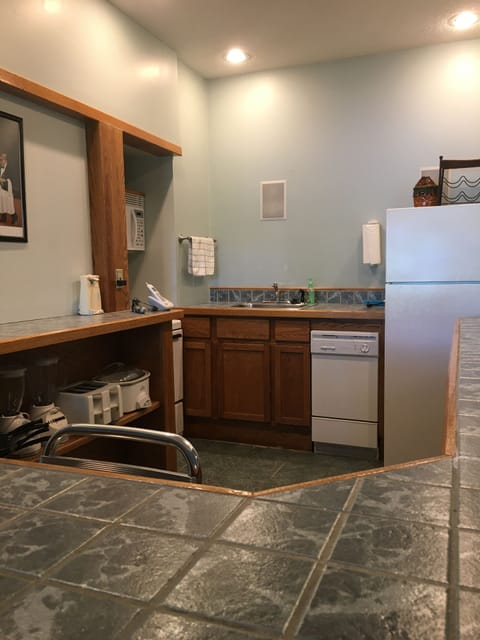 Lower Level Kitchen Area