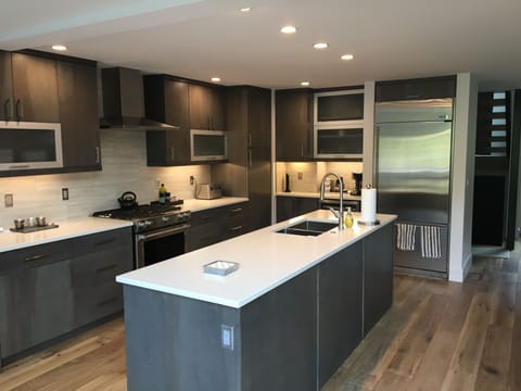 Contemporary chef's Kitchen