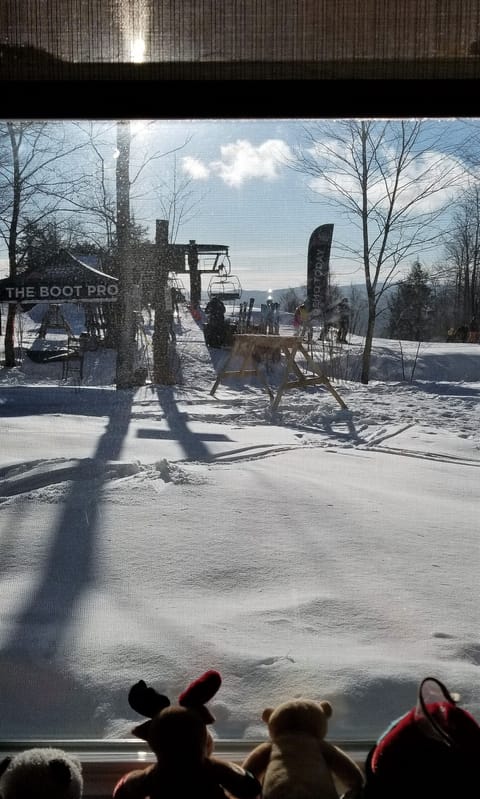 View from living room, after a new snowfall!