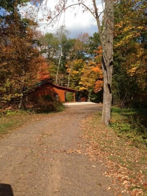 Cabin - View from the road (very private area)